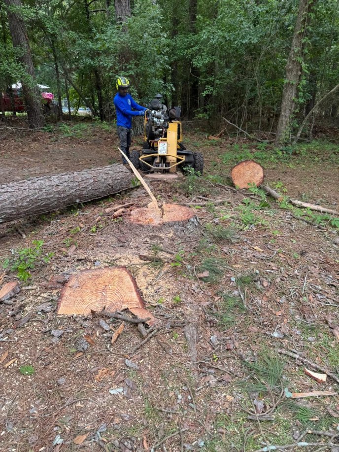 Lion Tree Service and Landscaping LLC project photo 40